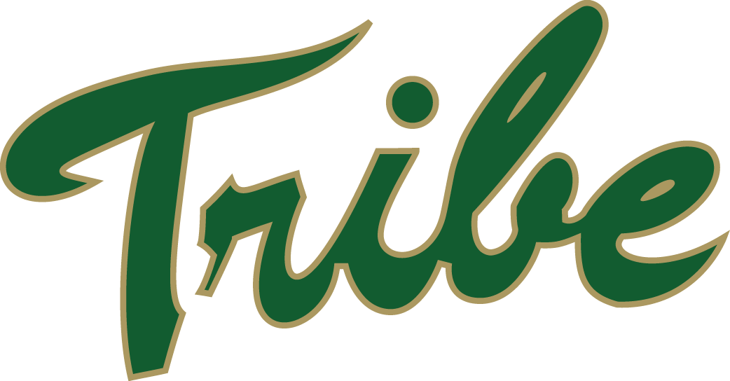 William and Mary Tribe 2009-2015 Primary Logo iron on paper